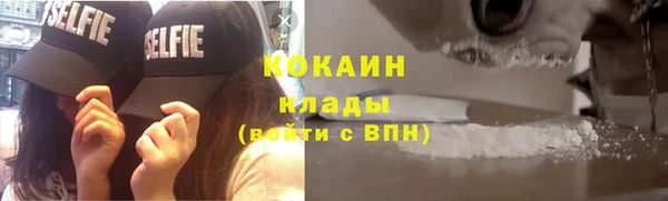 спиды Ладушкин