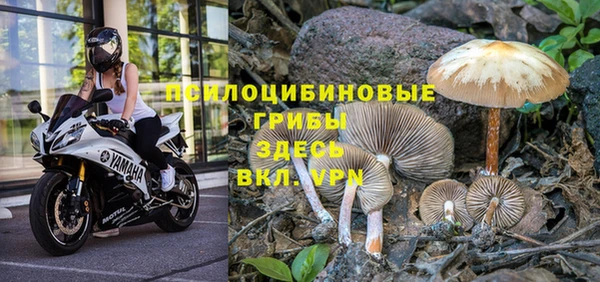 спиды Ладушкин
