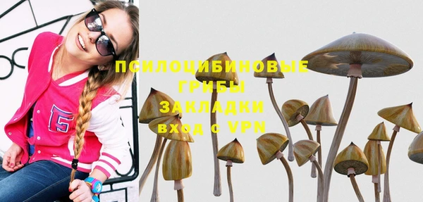 спайс Лихославль